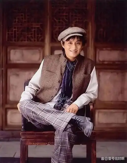 从个人履历来看,曾经的黄磊十分厉害.