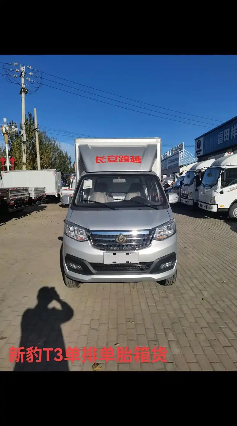 今日爆款车型 09长安新豹t309 单排单胎 箱货 箱长内尺 - 抖音