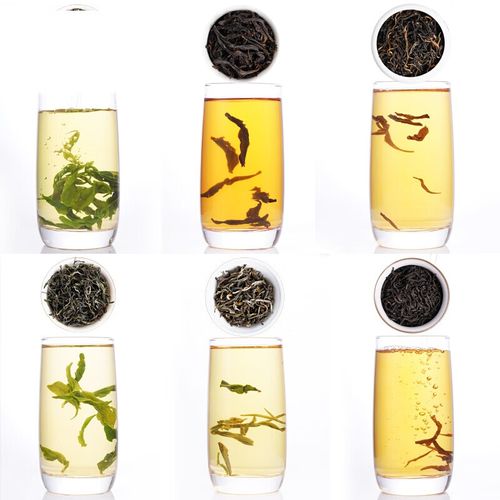 虎钢馋六大茗茶共240g 大红袍肉桂 碧螺春金骏眉正山小种组合茶叶礼盒