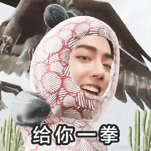 肖战看了都要保存的表情包