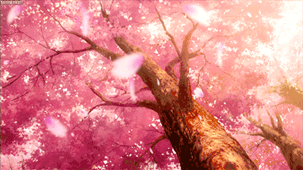 来东海半边山种下听海英,替你聆听海的声音 | 抢福利