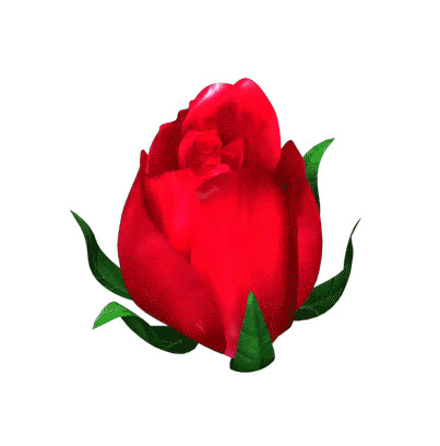 374_389gif 动态图 动图