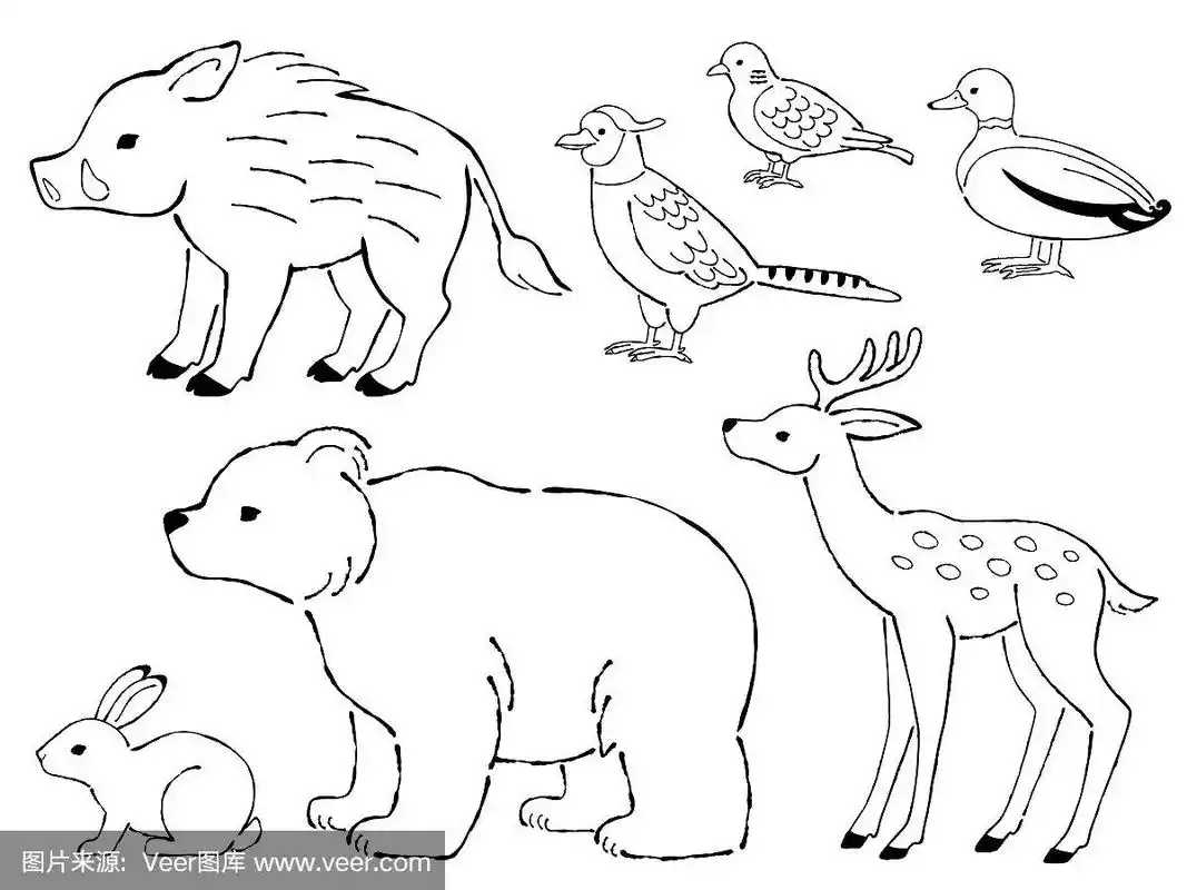 手绘风格线画插图一套日本狩猎鸟兽