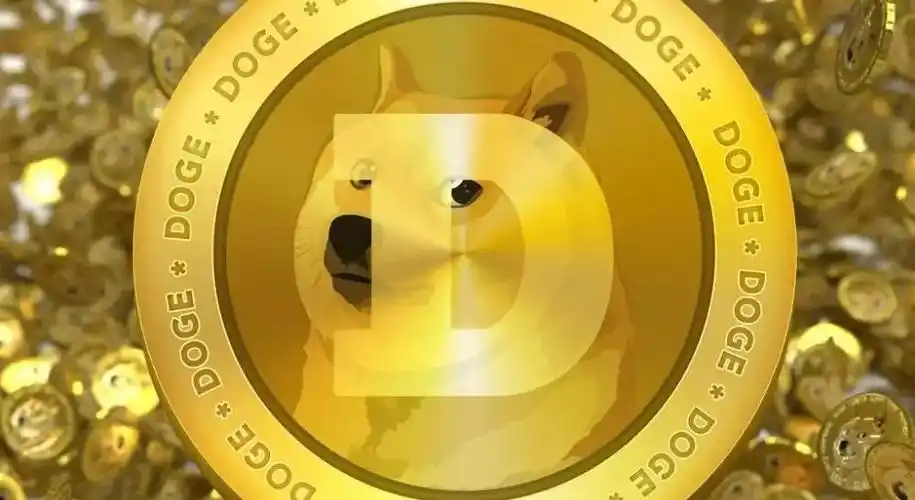 狗狗币怎么买?狗狗币的历史走势图_笨木鸡