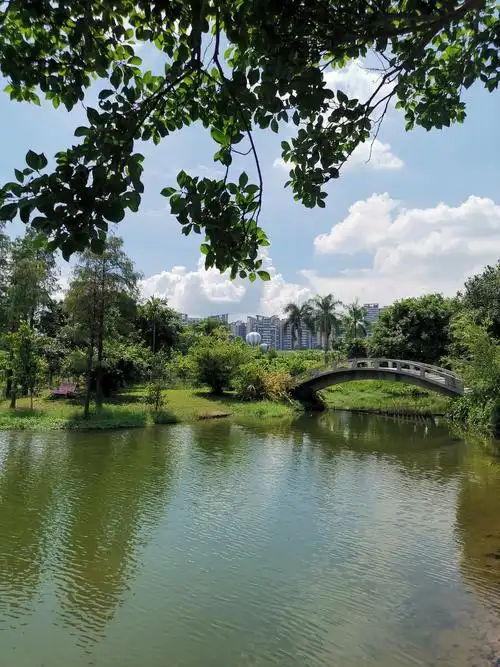 南沙蒲洲花园景区