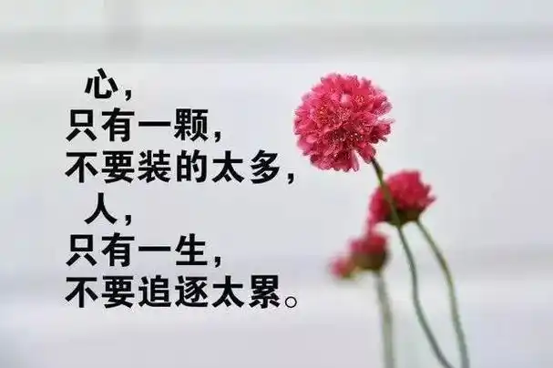 经典名句人生感悟200字人生哲理的句子经典200字