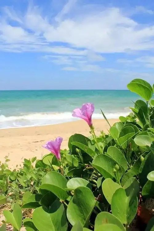 面向大海,不问春暖花开_风景