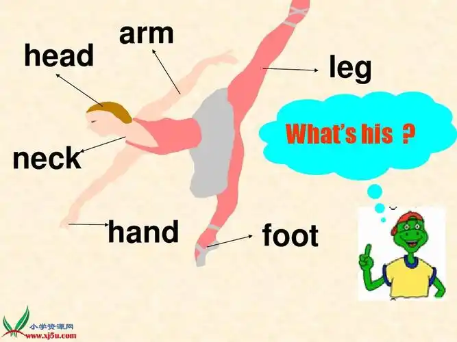 外研版(三起)三年级英语上册课件 module 10 unit 2(1)ppt