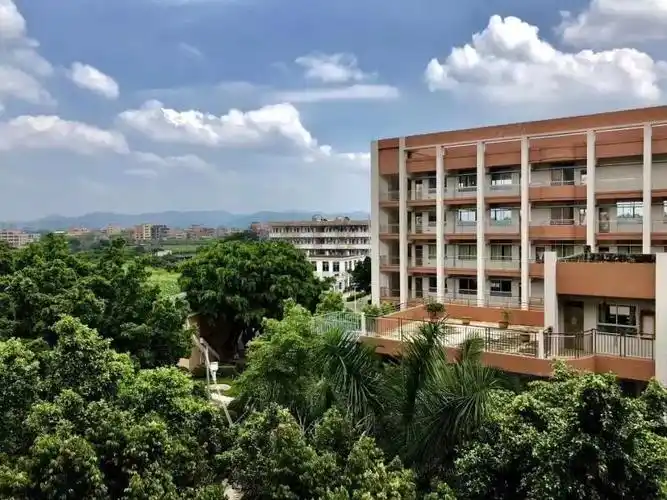 寒宣日志||广州市花都区第一中学