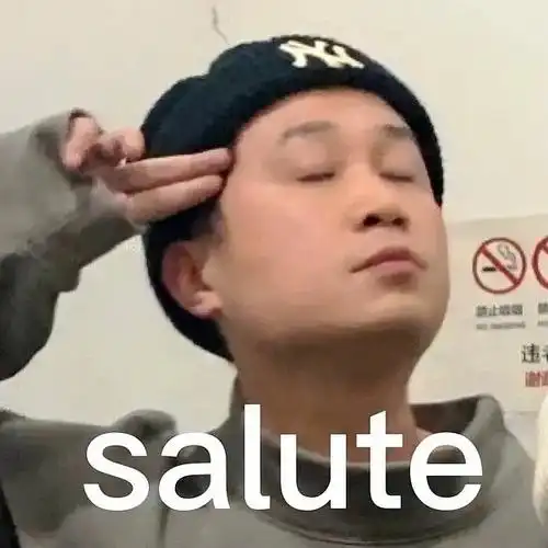 求salute相关表情包