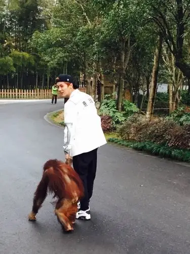 陈伟霆"奔跑吧"当嘉宾 鹿晗牵大猩猩