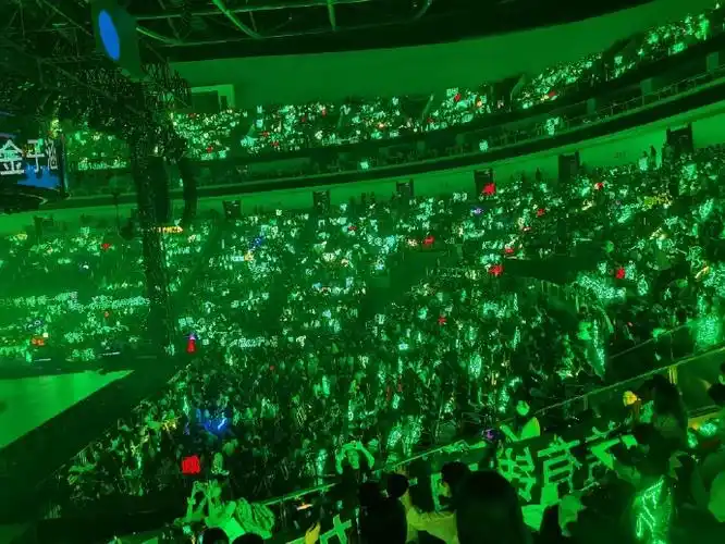 乐华演唱会满场都是王一博应援色##王一博粉丝绿海应援