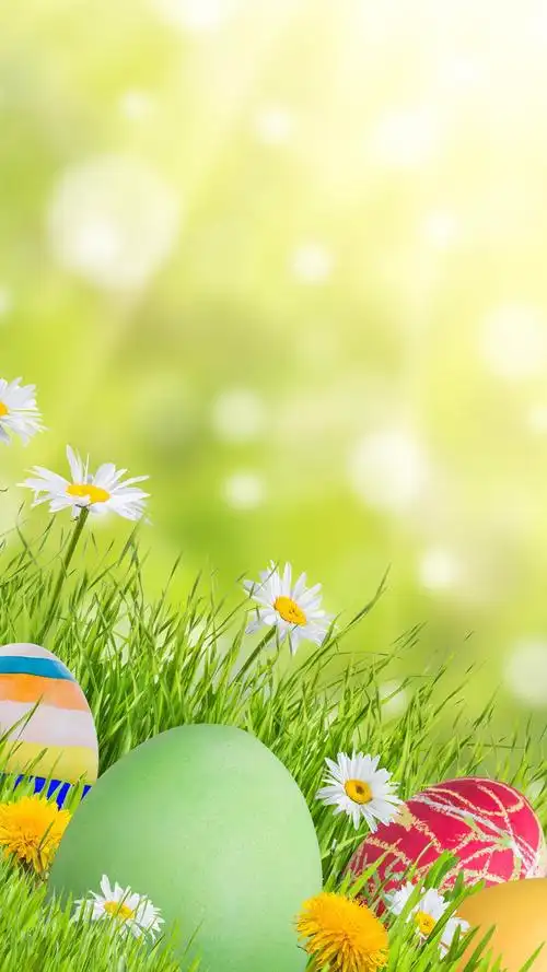 小清新系列静物手机壁纸,风格,设计,唯美,创意,高清,清新,静物,手机