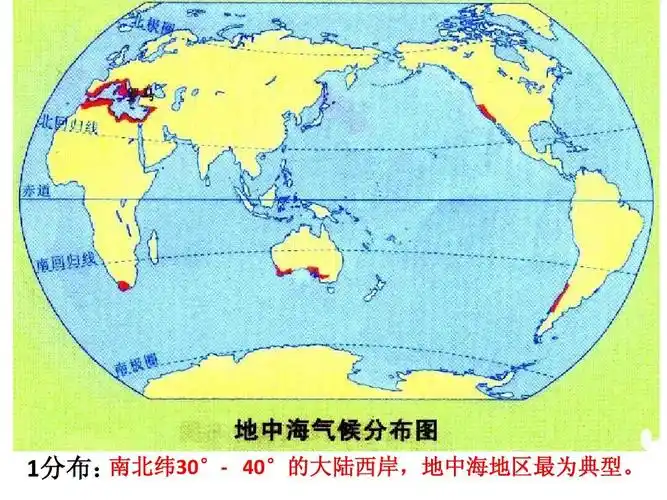 南北纬30°- 40°的大陆西岸,地中海地区最为典型. 1分布