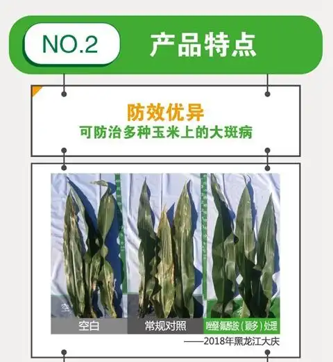 增活力赢多粒巴斯夫施乐健系列新成员颖多03