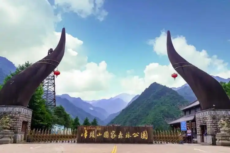 这几个地方接下来美翻啦,不能错过的花海春歌|武义|牛头山|花海_新浪