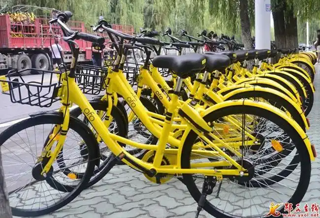 450辆ofo小黄车亮相郧西为湖北省首个有共享单车县城