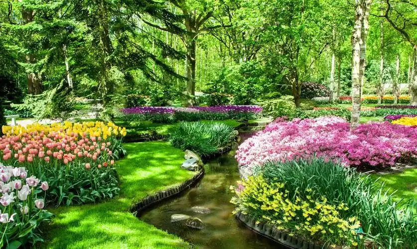 图集:分享一组精美的花园壁纸,赶紧收藏吧!_高清图集_新浪网