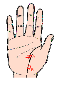 生命线怎么看生命线怎么看生命长短
