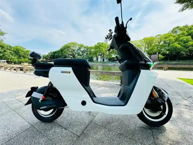 九号电动 #九号电动车c系列#九号cz90 #九号妙想家 #九号追股社