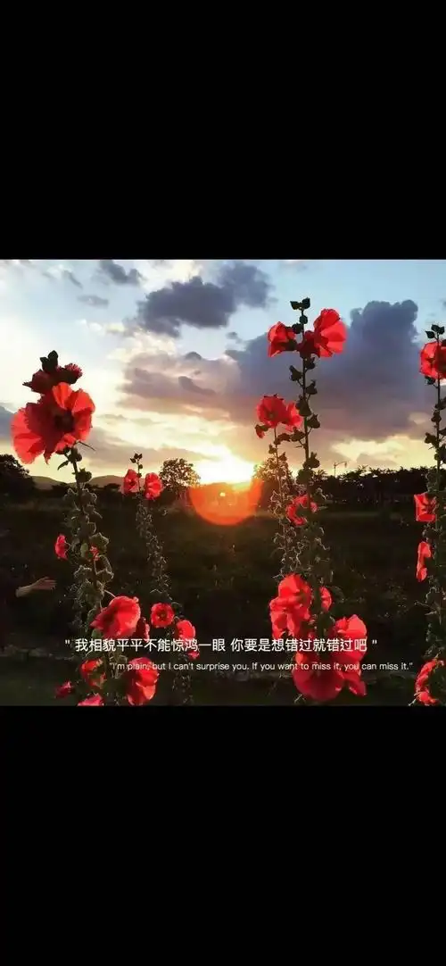 iphone壁纸高清抖音超火文字壁纸原图