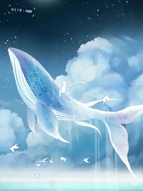 鲸鱼的背景图好好看06