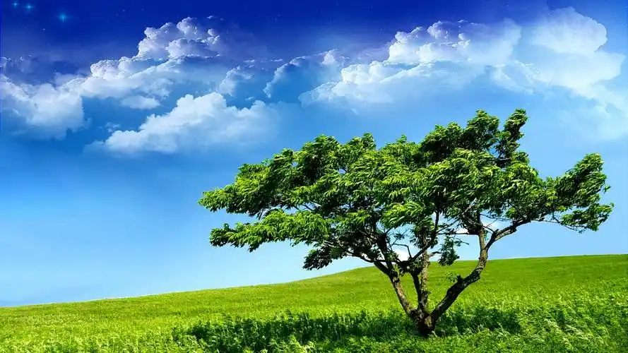 【唯美风景壁纸20】【1920x1080】[30p]