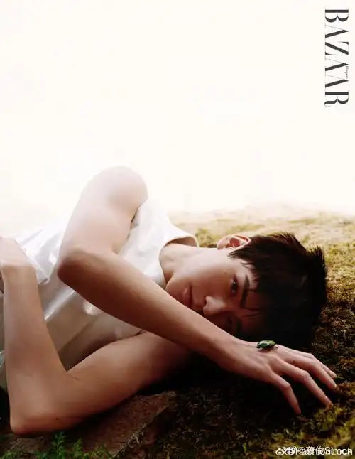 龚俊春日幻想芭莎大片