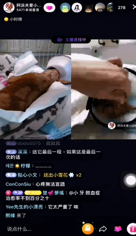 1118长蛆(1118长蛆事件完整观看)