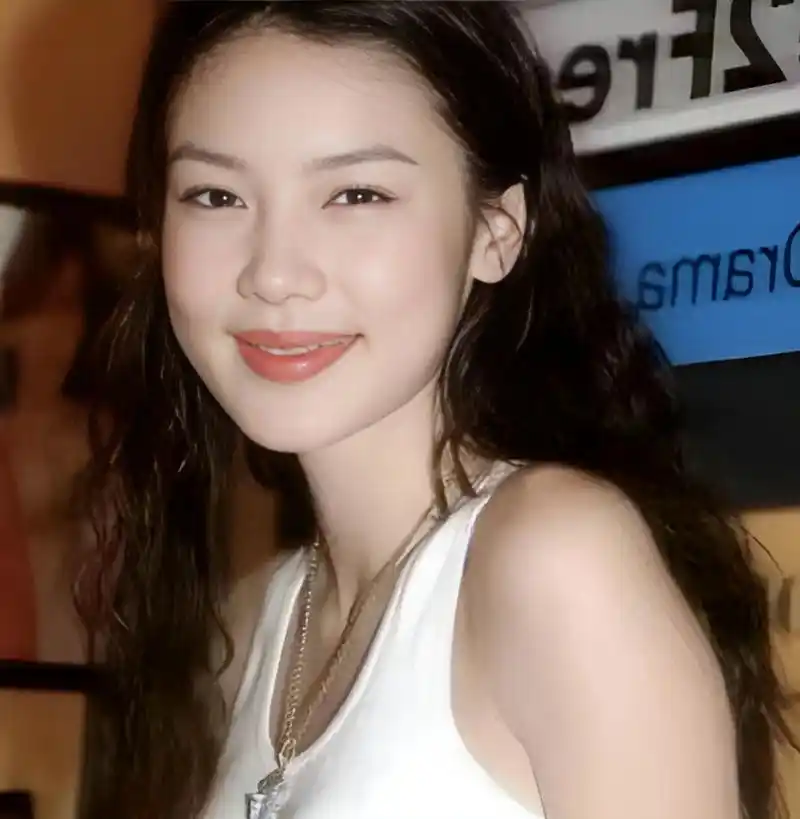 天王黎明的妻子乐基儿又离婚了!