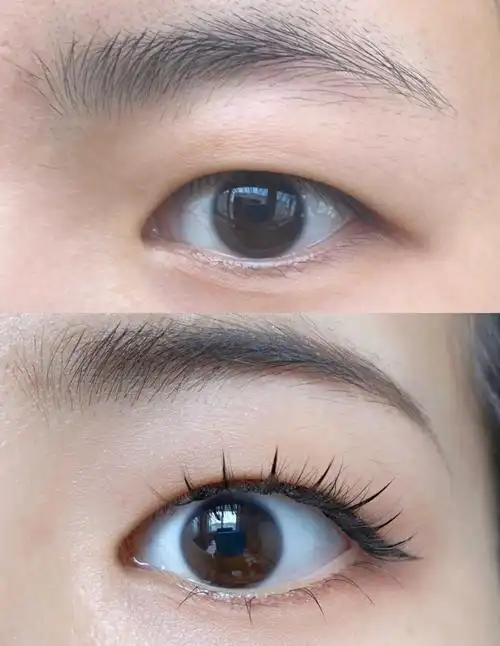 单眼皮肿眼泡的本命睫毛鱼尾仙子毛yyds60