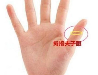 拇指凤眼纹的人生贵子什么是凤眼纹