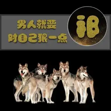 百家姓氏狼头像男人就要对自己狠一点图片