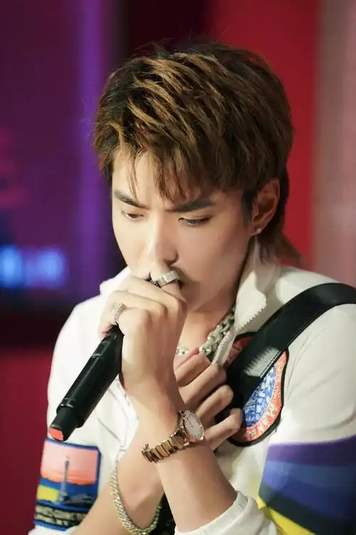 吴亦凡登上路易威登品牌代言人宝座,skr skr!