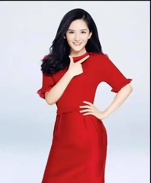 谢娜工作室道歉_行程_摩擦_言行