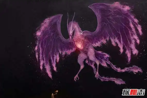 传说中的十大凤凰除了古代五凤凤凰还有那些异种