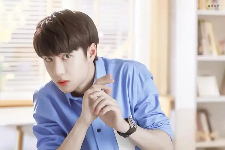 【王一博】陪你到世界之巅/饰季向空