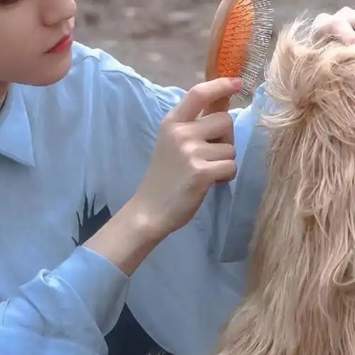 王俊凯情侣头像