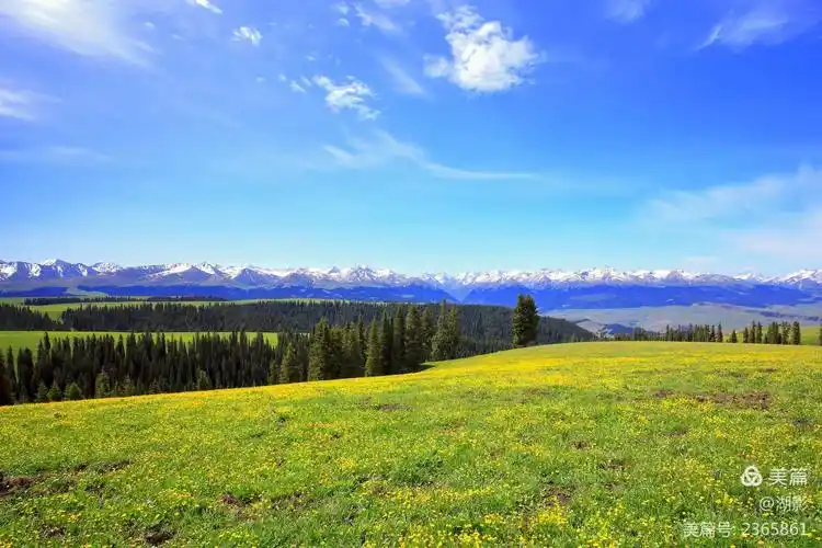 其它 喀拉峻 沉醉的天堂草甸 写美篇  喀拉峻大草原位于新疆伊犁河谷