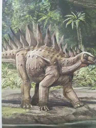 东盛小学一年四班于松冉第十四期读书会――它们恐龙时代 - 美篇