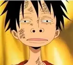 海贼王 动漫 搞笑 逗比