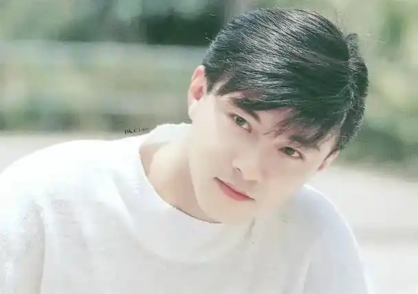 张卫健年轻颜值巅峰(年轻时张卫健的颜值真够惊艳的)-第6张图片-腾赚