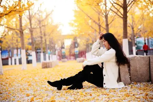 凄凉片片,到处弥漫,心也随着欲发的伤感,突然发现,秋天是个伤感的季节