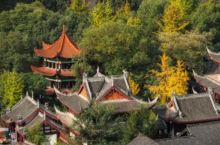 来都来了之成都旅游热门景点大盘点看看你都去过了吗