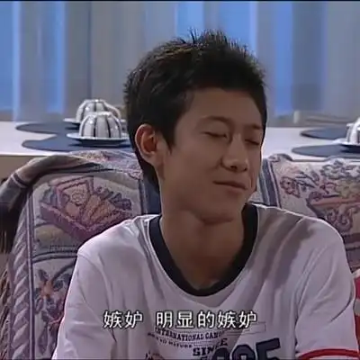 家有儿女表情包 刘星 自截