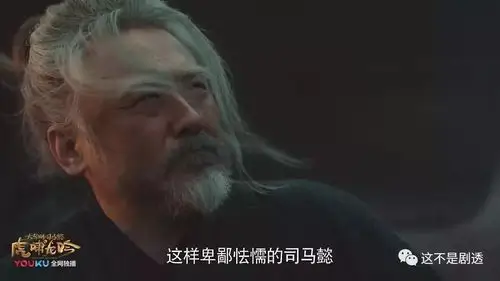 你看吴秀波演的司马懿.