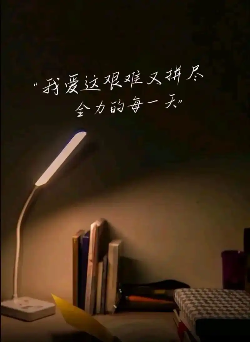 人到中年 最大的无奈 是脆弱的日子 经不起丝毫的意外 按部就班 已经