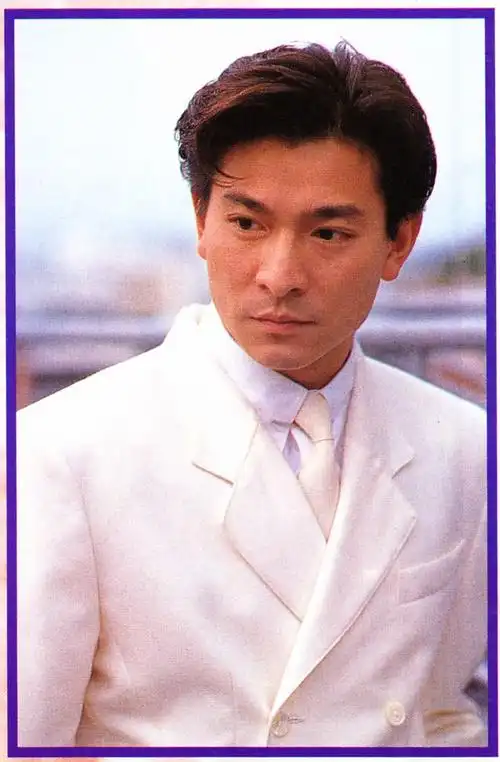 不一样的帅气刘德华