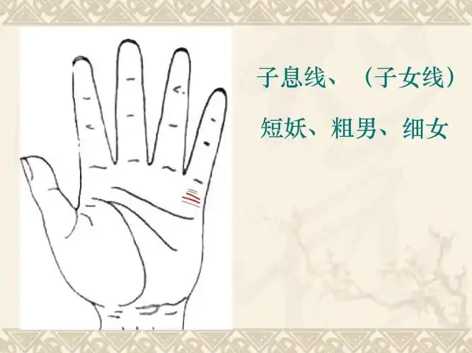 子息线,(子女线) 短妖,粗男,细女