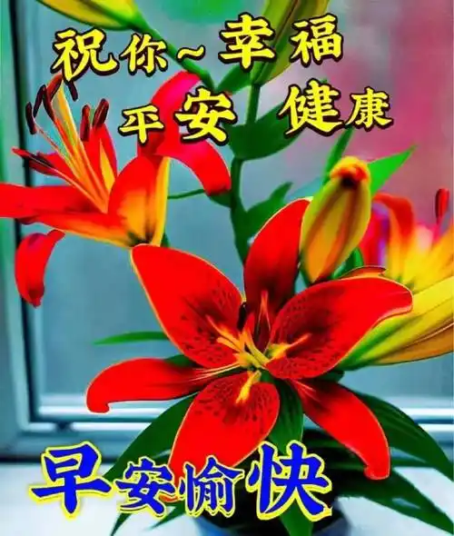 9张夏日创意早上好免打字图片带祝福语 2023夏日温馨的早上好问候语